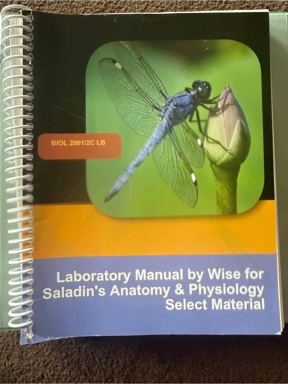 Lab Manual by Wise for Saladin's Anatomy & Physiology - Blue Dragonfly Cover